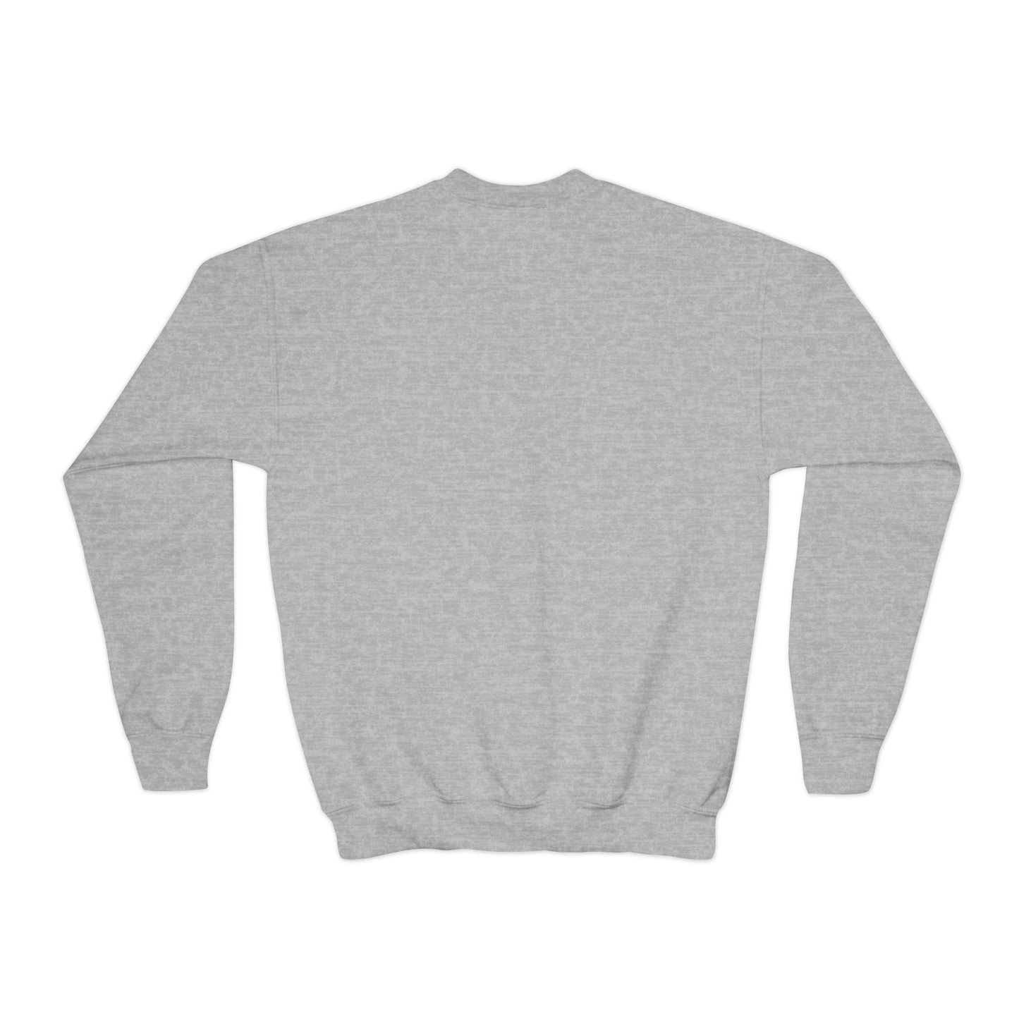 Dirty Boys Lifestyle “DIRTY” Youth Crewneck | Kids Graphic Sweatshirt